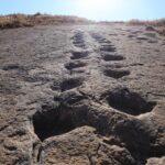 絶景トロトロ 恐竜の足跡とボリビアのグランドキャニオンへ